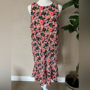 🆕 J. Crew Merchantile 12 NWT vintage style dress